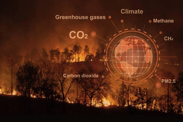 Monitoring and Evaluation for Climate Change Adaptation Programs Course