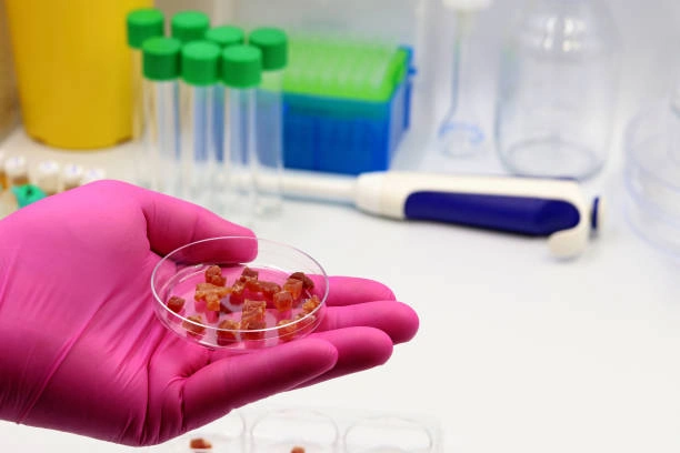 Training on Biotech Solutions for Food Production