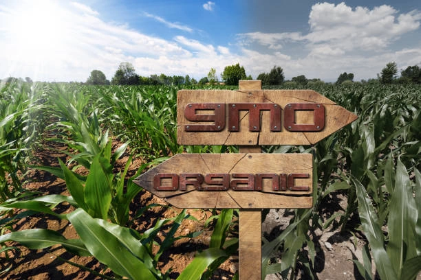 Training on Regulatory Frameworks for GMOs in Agriculture
