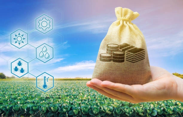 Training on Accessing Agricultural Finance Solutions