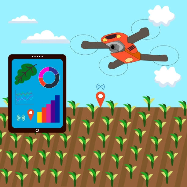 Drone-Based Crop Health Monitoring Training Course