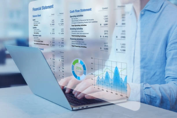 Training on Financial Statement Analysis