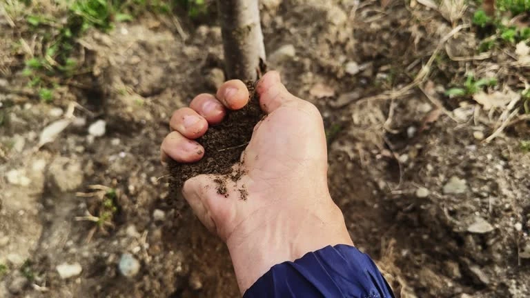 Training on Soil Science and Management