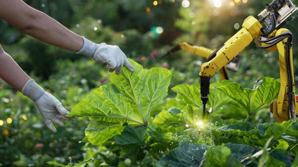 Training on Advanced Pest Management in Agriculture