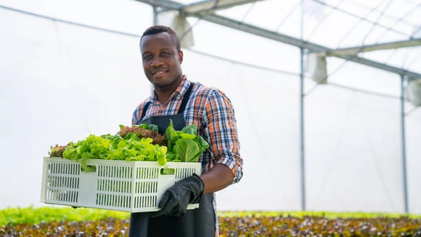 Training on Crop Management and Production