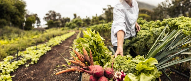 Training on Climate Smart Agriculture (CSA)