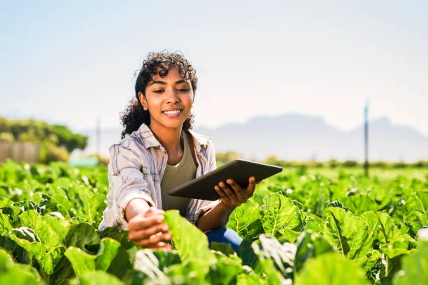 Training on Farm Management and Business Planning